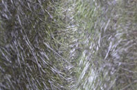 Kirk Ireton fibreglass roof work